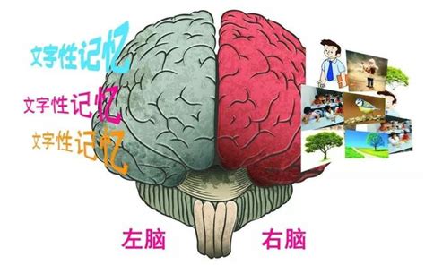 兩頭人|驚！兩頭人的超強記憶力